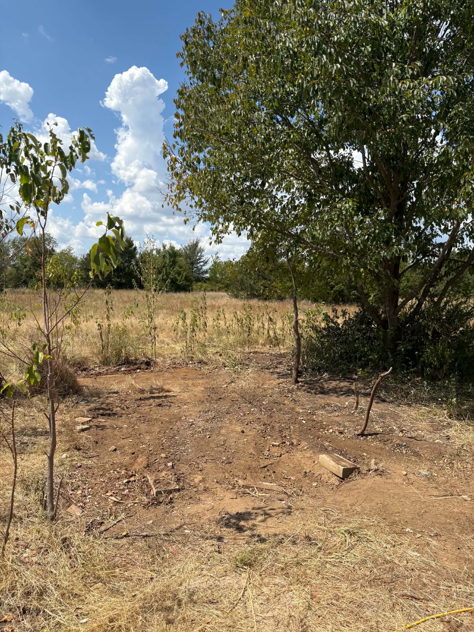 Ground cleared after shed removal